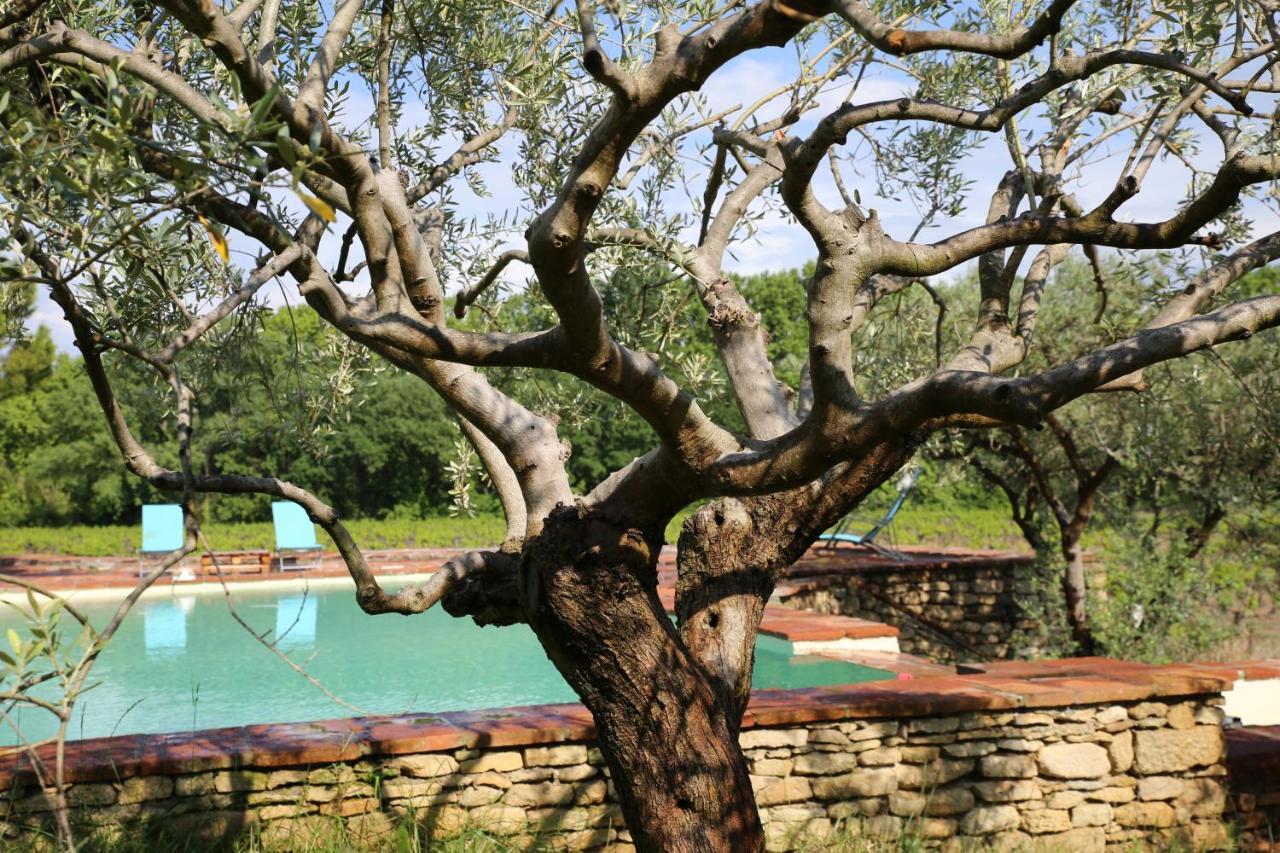 Gite Des Amis Domaine De Mas Caron Caromb ภายนอก รูปภาพ