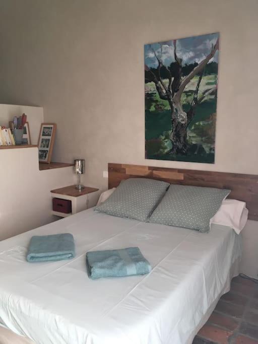 Gite Des Amis Domaine De Mas Caron Caromb ภายนอก รูปภาพ
