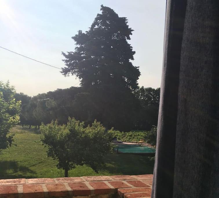 Gite Des Amis Domaine De Mas Caron Caromb ภายนอก รูปภาพ