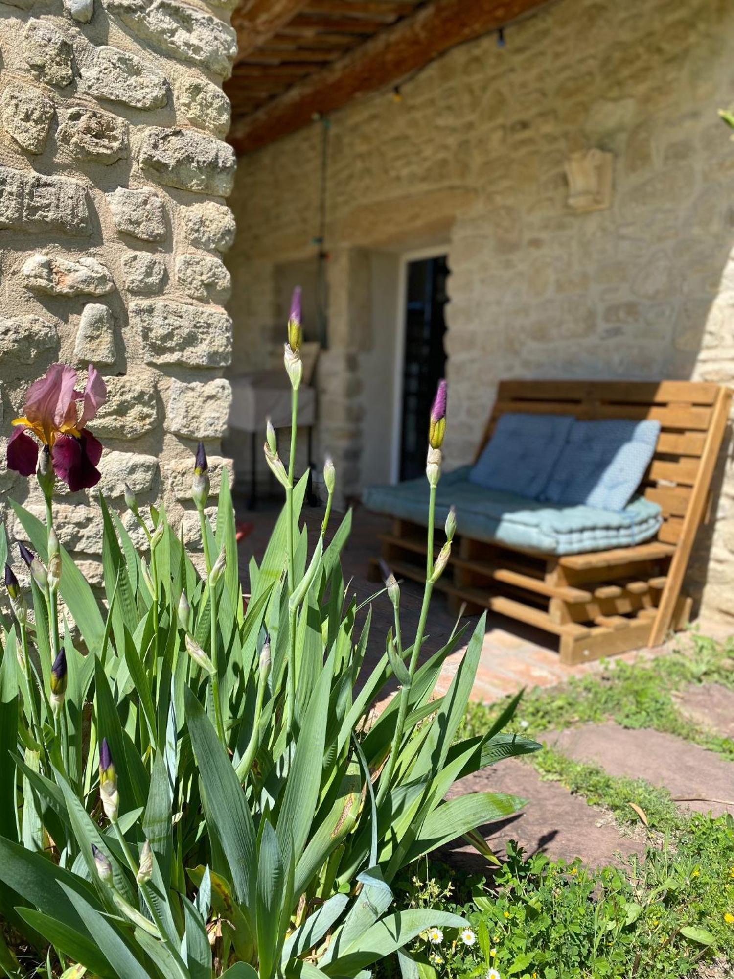 Gite Des Amis Domaine De Mas Caron Caromb ภายนอก รูปภาพ